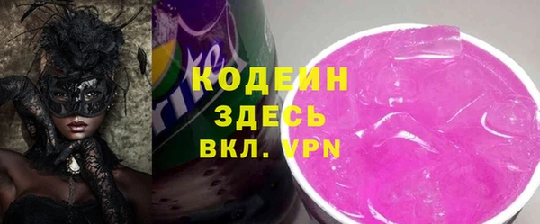 индика Володарск