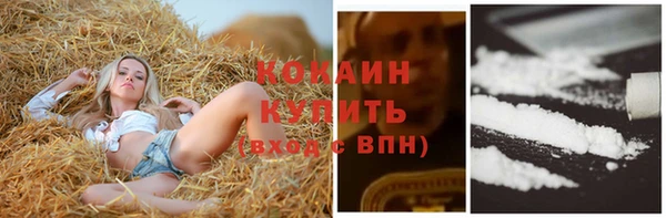 ГАЛЛЮЦИНОГЕННЫЕ ГРИБЫ Волосово