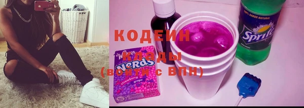 индика Володарск