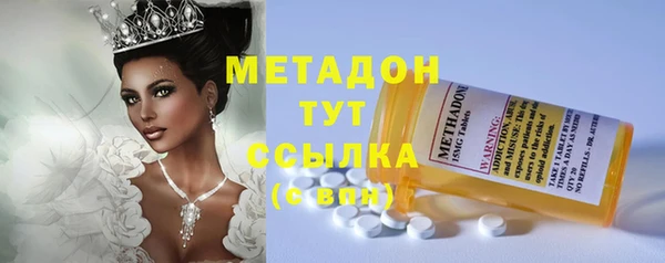 индика Володарск