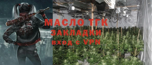 индика Володарск