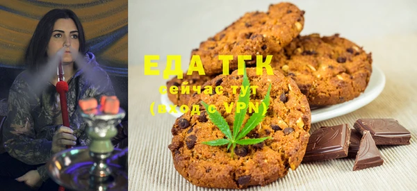 индика Володарск