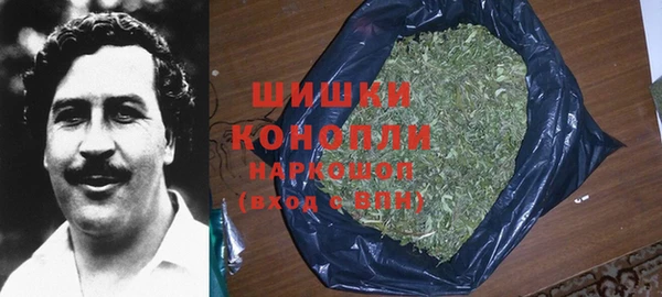 ГАЛЛЮЦИНОГЕННЫЕ ГРИБЫ Волосово