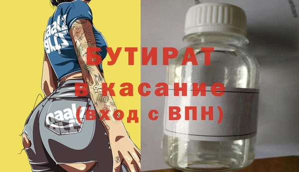 индика Володарск