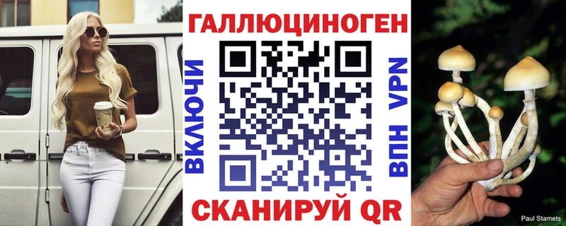 дарк нет Telegram  Знаменск  Галлюциногенные грибы Magic Shrooms 